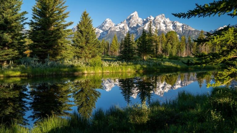 The Fleeting Wilds of a Jackson Hole Summer