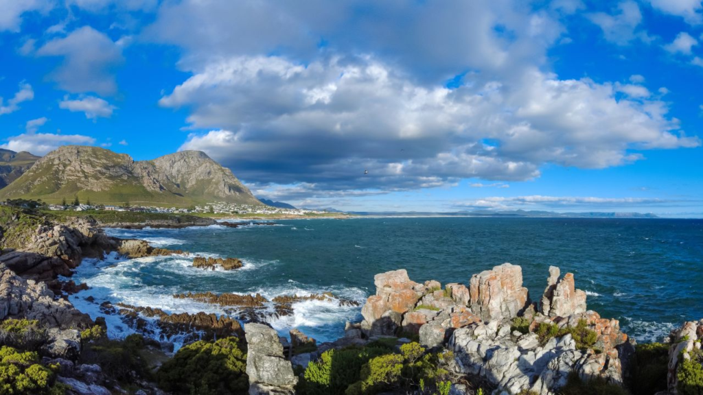 Rocky coastline with choppy blue sea, green shrubs, distant mountains, and a partly cloudy sky. White buildings are visible near the shoreline in Hermanus, South Africa—famous for its stunning views during whale season.