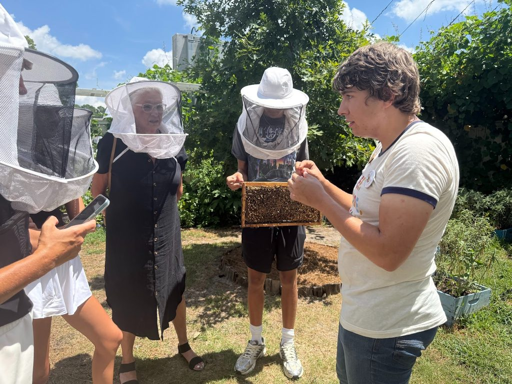 A group of people wearing beekeeping veils observe a person holding a honeycomb frame outdoors on a sunny day.
