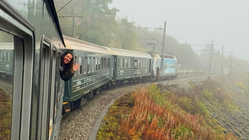 A woman leans out of a passenger train window waving as the train travels through a foggy, wooded landscape.