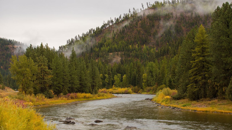 A river winds through a forested valley toward misty mountains, creating an ideal setting for fly fishing near Missoula.